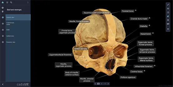 Meet us at at MEDICA 2025!